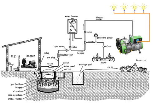 Biogas plant used for power generation.png