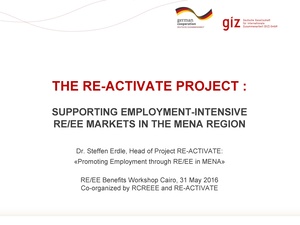 Supporting Employment Intensive RE&EE Markets in the MENA Region.pdf