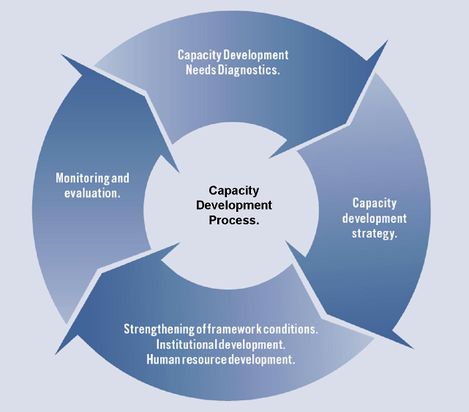 Capacity Development Process CaDRE.jpg