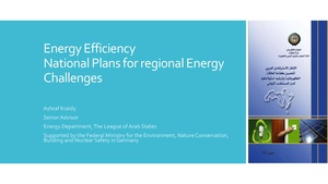 Energy Efficiency National Plans for Regional Energy Challenges.pdf