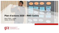 Plan d'actions 2020 du projet RMS à Gabès