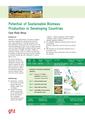 Potential of Sustainable Biomass Production in Developing Countries.pdf