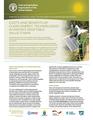 Costs and Benefits of Clean Energy Technologies in Kenya’s Vegetable Value Chain.pdf