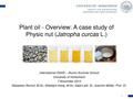 Plant Oil - A Case Study of Physic nut (Jatropha curcas L.).pdf