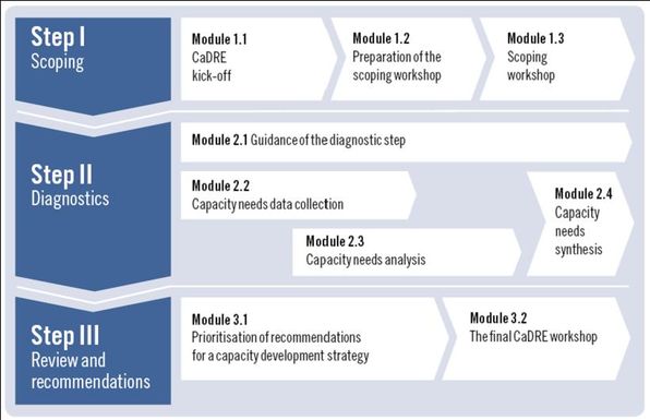 Overview of CaDRE steps and modules.jpg