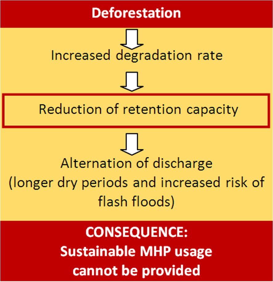Deforestation and its consequences on MHP.png