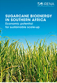 Sugarcane pub - image.png