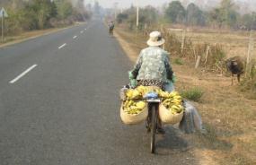Cyclist farmer laos.jpg