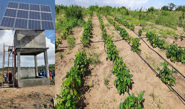 Solar Irrigation in Mozambique2.png