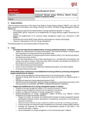 12062014 EnM Advisor Job description.pdf