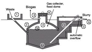 Nicarao biogas.gif
