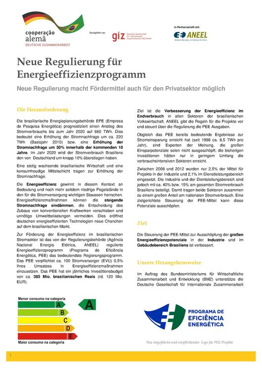 File:Infoblatt Neue Regulierung Für Energieeffizienzprogramm.pdf ...