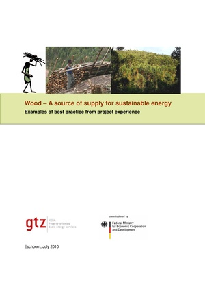 2010 0811 GTZ HERA Wood - A source of supply for sustainable energy.pdf