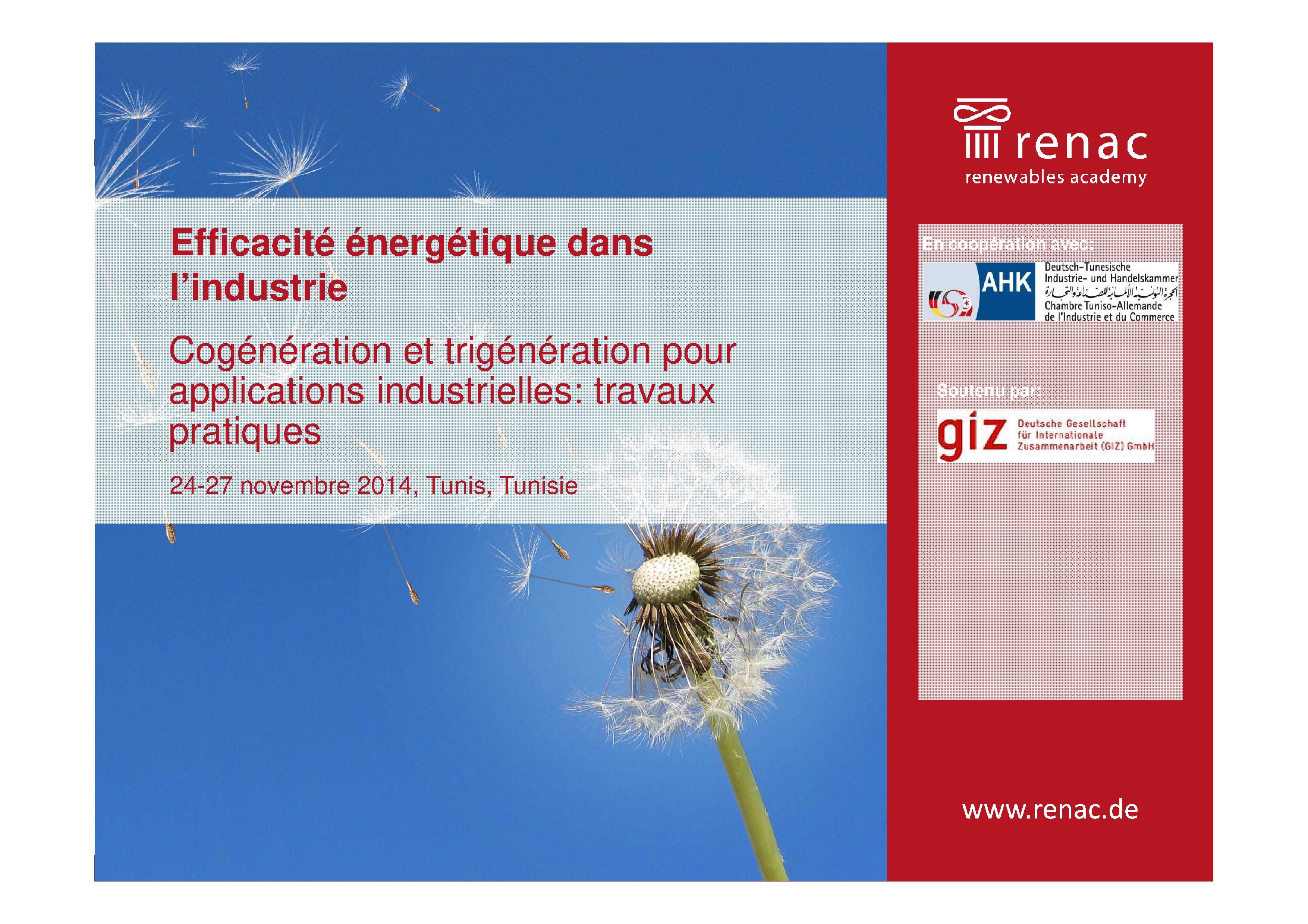 (11) Cogeneration and trigeneration for industrial applications: financing