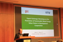 Expert Exchange Workshop on the Promotion of Sustainable Wood Energy Value Chains in Development Cooperation-Impressions