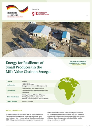 Energy for Resilience of Small Producers GBE Case Study GIZ 2023.pdf