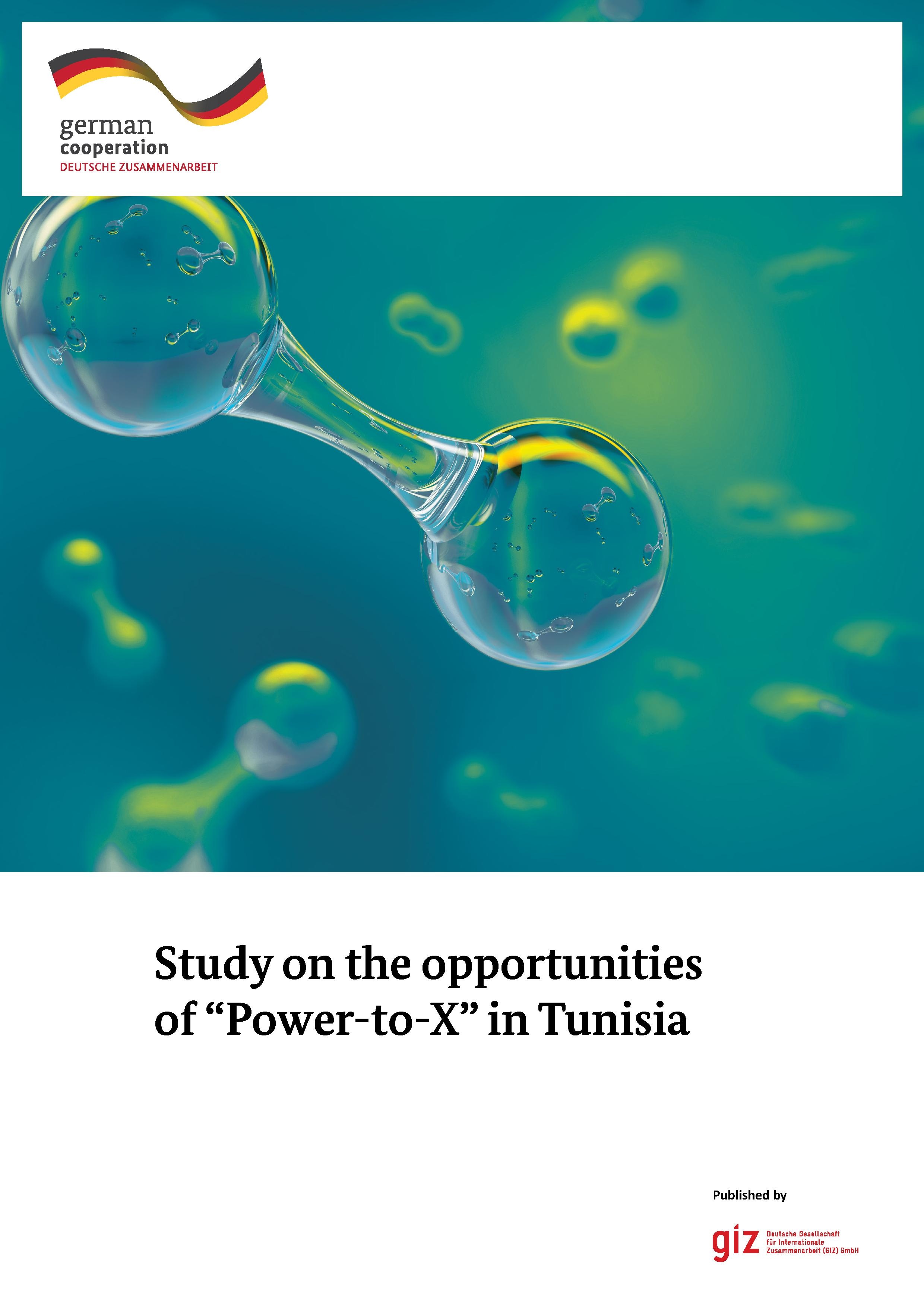 Potential study on Power-to-X in Tunisia