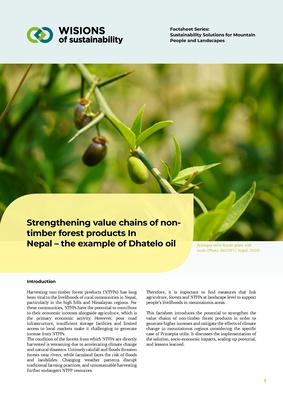 WISIONS Factsheet-Series NTFPS EN 2025.pdf