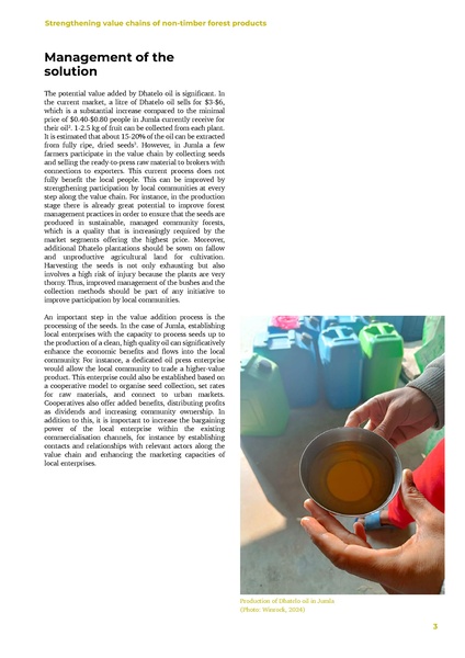 File:WISIONS Factsheet-Series NTFPS EN 2025.pdf