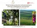 Wood Energy Production and Processing to Charcoal in Madagascar and Senegal - Steve Sepp, Bonn 2013.pdf
