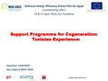Support Program for Cogeneration - Tunisian Experience.pdf