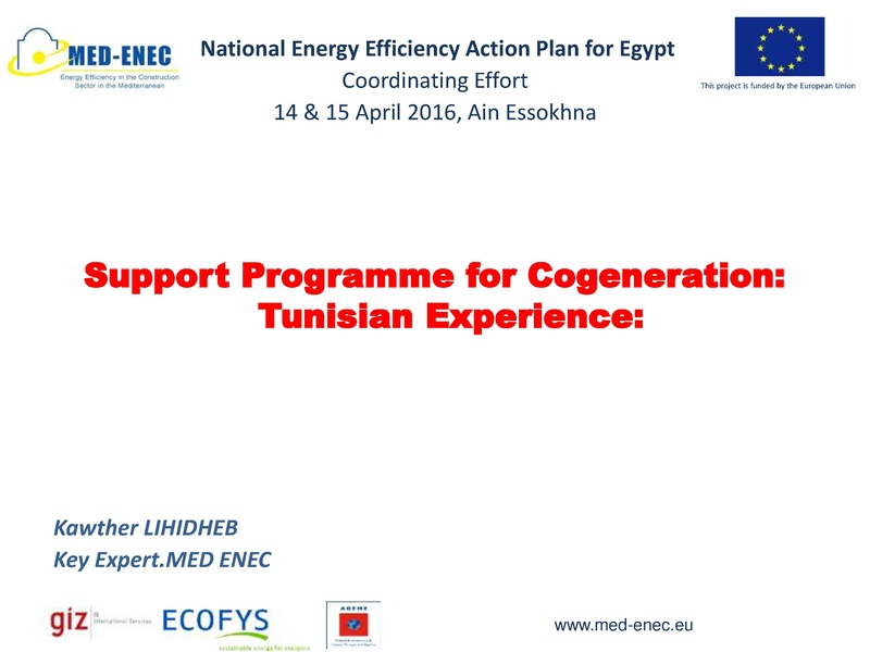 File:Support Program for Cogeneration - Tunisian Experience.pdf
