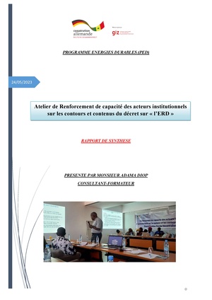 RAPPORT FINAL RENFORCEMENT DE CAPACITE ACTEURS INSTITUTIONNEL SUR DECRET ERD.pdf