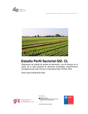 Análisis energético del sector Agroindustrial en Chile.pdf