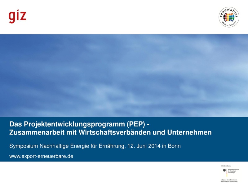 File:Das Projektentwicklungsprogramm (PEP).pdf