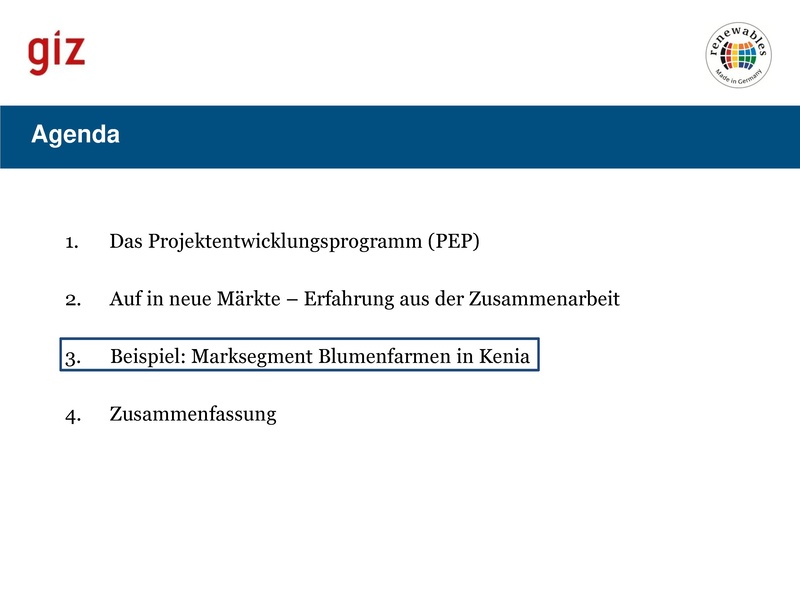 File:Das Projektentwicklungsprogramm (PEP).pdf