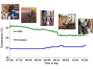 Figure 2. Ambient temperature and milk temperature during transport from the farm to the cooperative..jpg