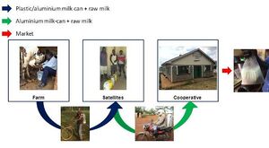 Figure 1.1 Handling of milk from the farm to the market.jpg