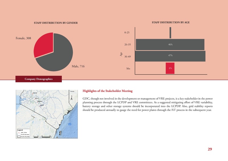 File:GIZ CNA 052220 report.pdf