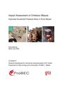 Impact assessment clay stoves malawi 2008.pdf