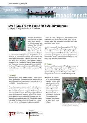 Gtz tibet impact report small-scale-power-supply.pdf