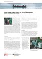 Gtz tibet impact report small-scale-power-supply.pdf