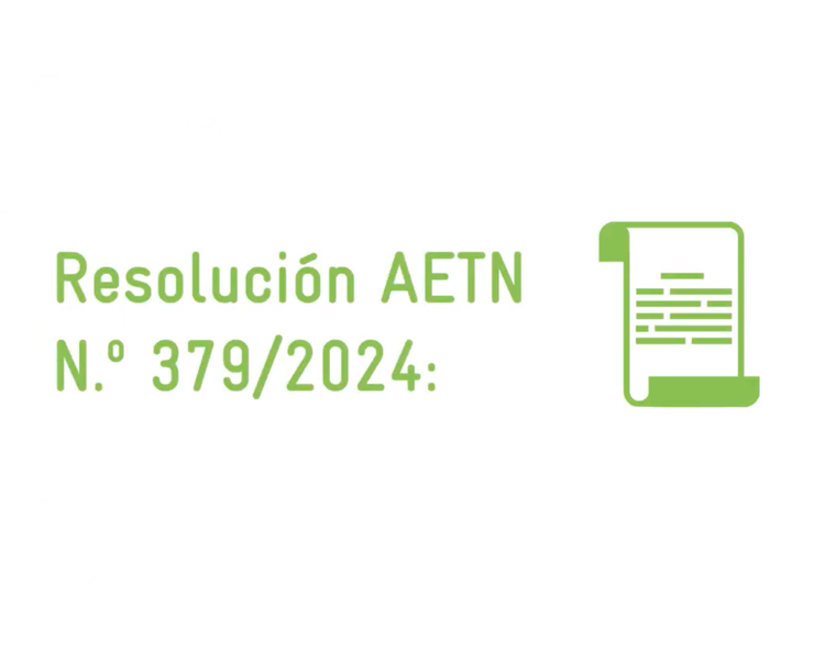 File:Resolución 379.png