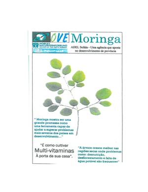 PT-Moringa-ADEL Sofala.pdf