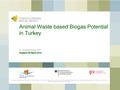 Animal Waste based Biogas Potential in Turkey.pdf