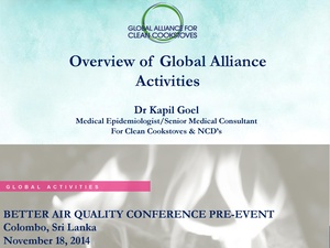 Overview of Global Alliance Activities.pdf