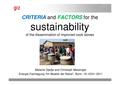 GIZ Im Abseits der Netze 012011 TW4c 2 TW 4c Sustainability criteria and factors Messinger Djedje.pdf