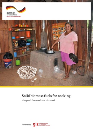 Solid biomass fuels for cooking - beyond firewood and charcoal. GIZ 2017.pdf