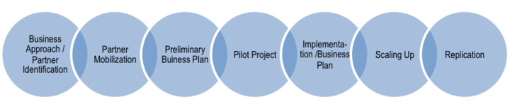 Figure 1 - Typical Project Cycle