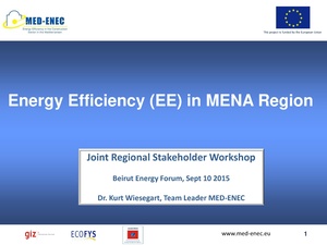 Dr. Kurt Wiesegart, MED-ENEC Project (Energy Efficiency in the Construction Sector).pdf
