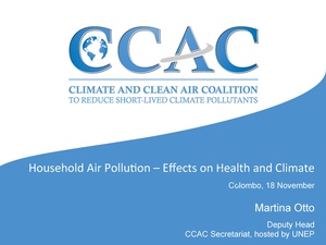 Household Air Pollution - Effects on Health and Climate.pdf