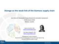 Storage as the Weak Link of the Biomass Supply Chain.pdf