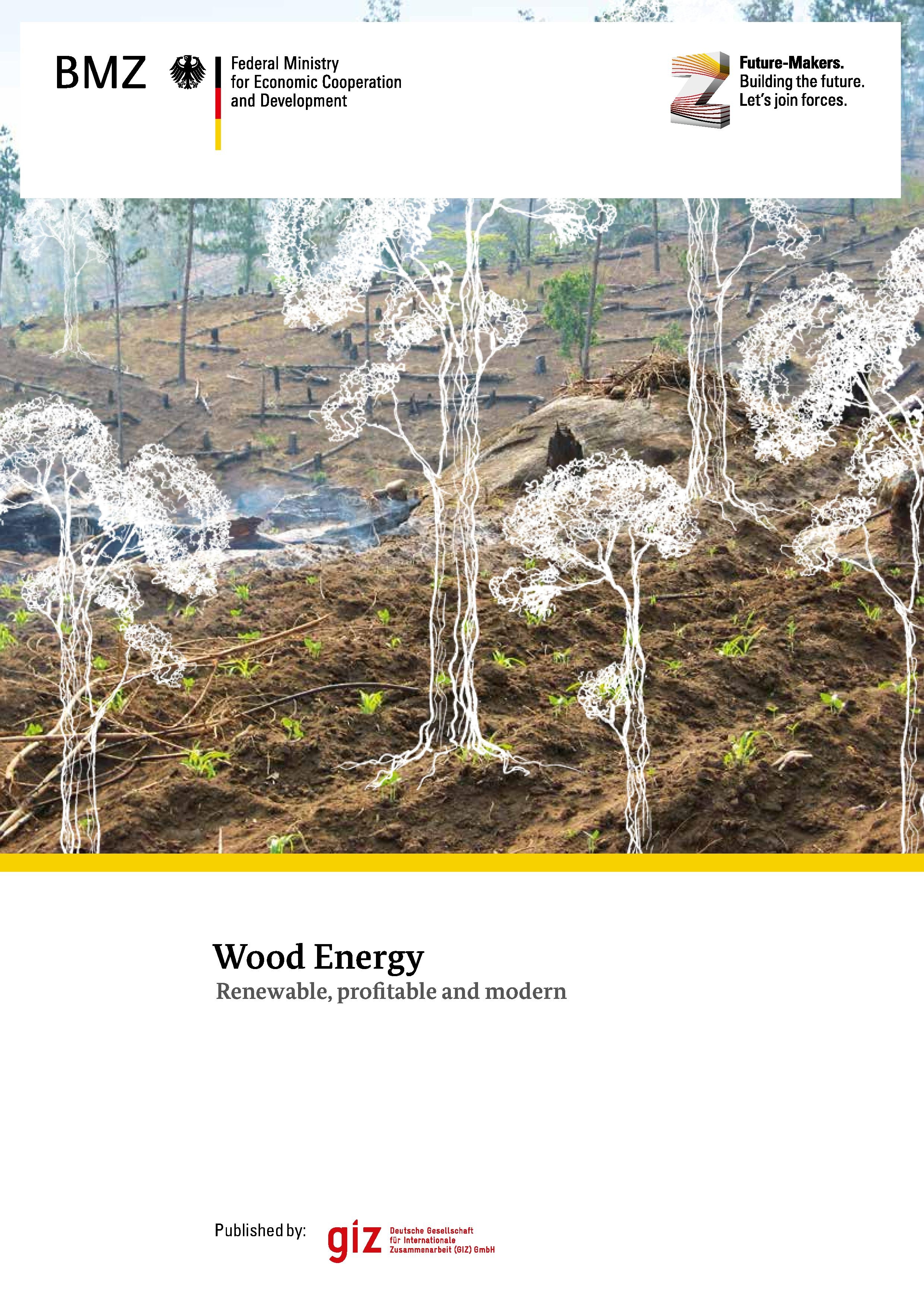 Wood Energy renewable, profitable, and modern