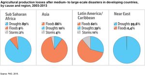 Agricultural production losses after medium- to large-scale disasters.jpg