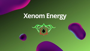 Factsheet Xenom Energy.pdf