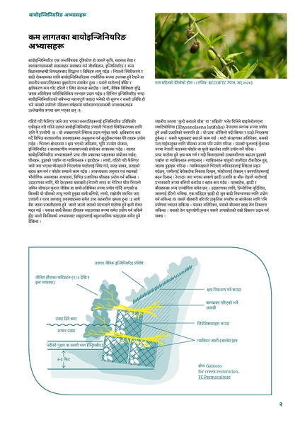 File:WISIONS Factsheet-Series Nature-Based-Solutions NEP 2025.pdf